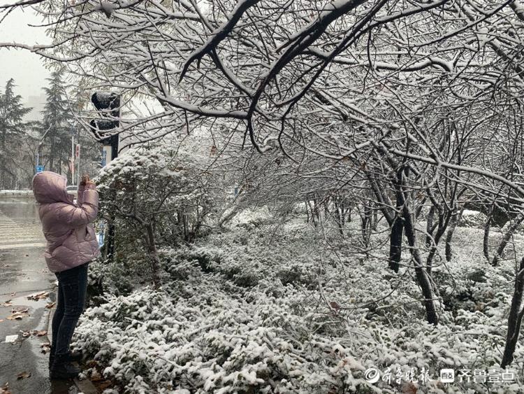 枣庄大雪“送来”冬日美景，市中这处小花园宛如雾凇仙境