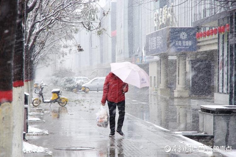 风雪交加，枣庄迎入冬以来第一场雪