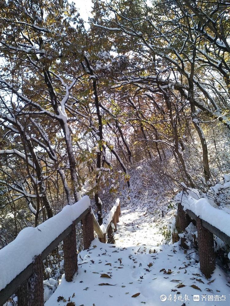 瑞雪落崧崖，崮顶美如画，来枣庄邂逅浪漫抱犊崮雪景