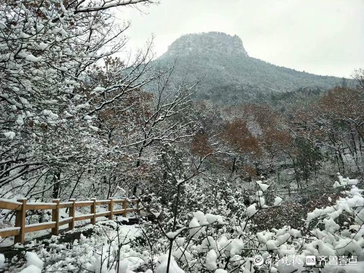 瑞雪落崧崖，崮顶美如画，来枣庄邂逅浪漫抱犊崮雪景