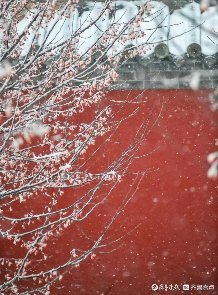 来台儿庄看雪景，感受南北文化八种风格的静美