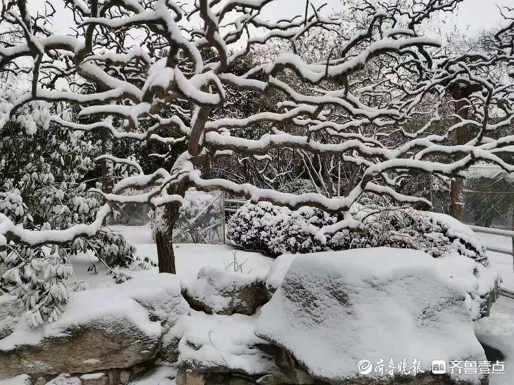 赤霞广场北边的小广场，看这银装素裹的美景