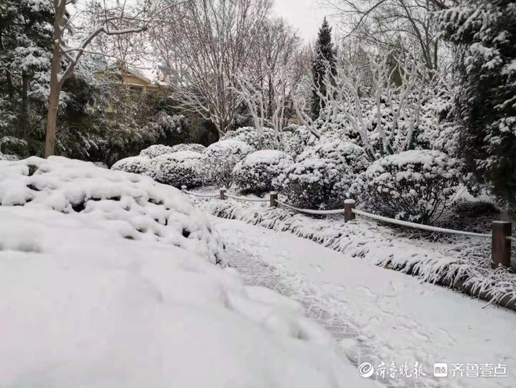 赤霞广场北边的小广场，看这银装素裹的美景