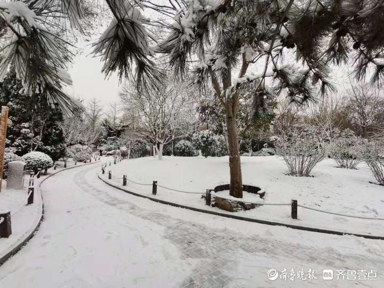 赤霞广场北边的小广场，看这银装素裹的美景