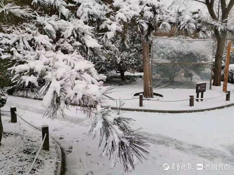 赤霞广场北边的小广场，看这银装素裹的美景