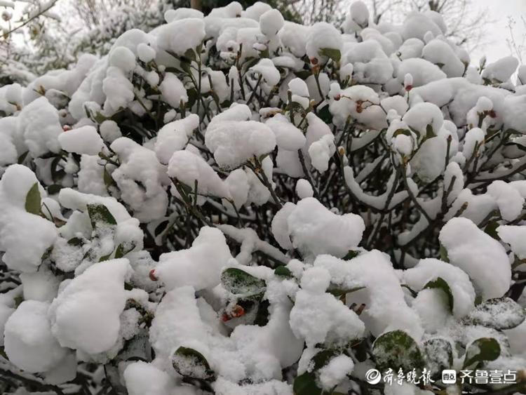 赤霞广场北边的小广场，看这银装素裹的美景