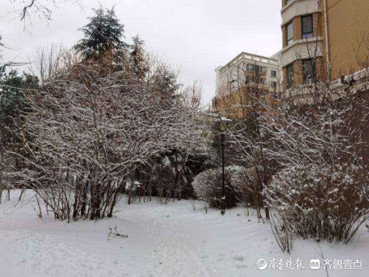 大雪过后，小区美如画