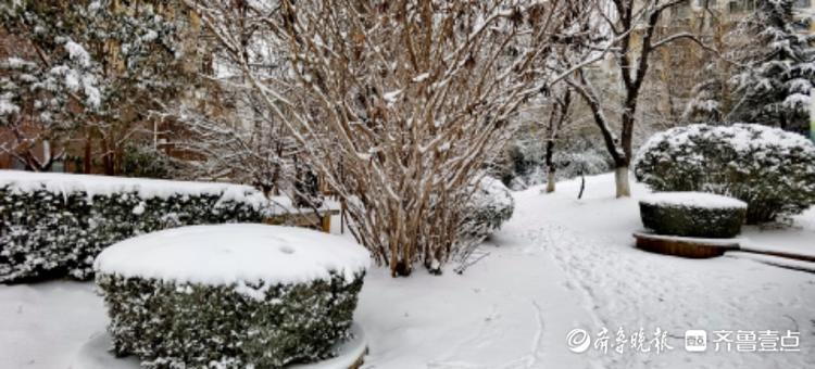 大雪过后，小区美如画