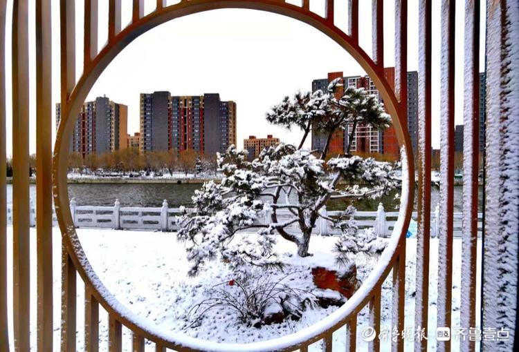 雪后小清河分外娇