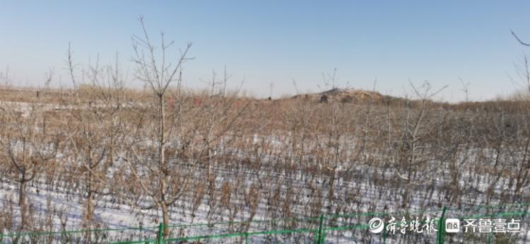 雪后鲁西东阿县艾山脚下，村庄沉浸在冬日宁静中