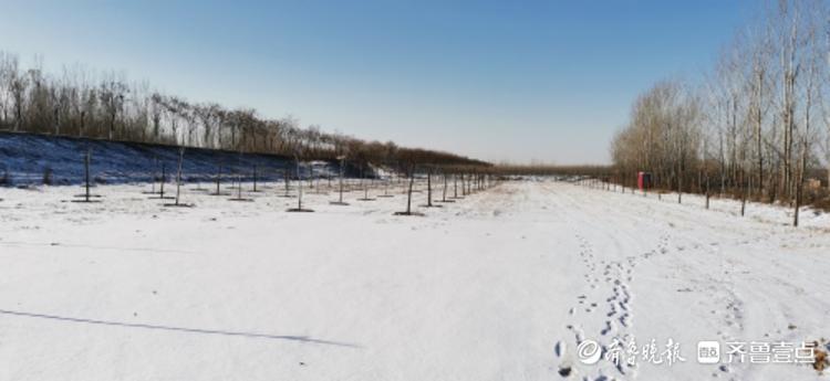 雪后鲁西东阿县艾山脚下，村庄沉浸在冬日宁静中