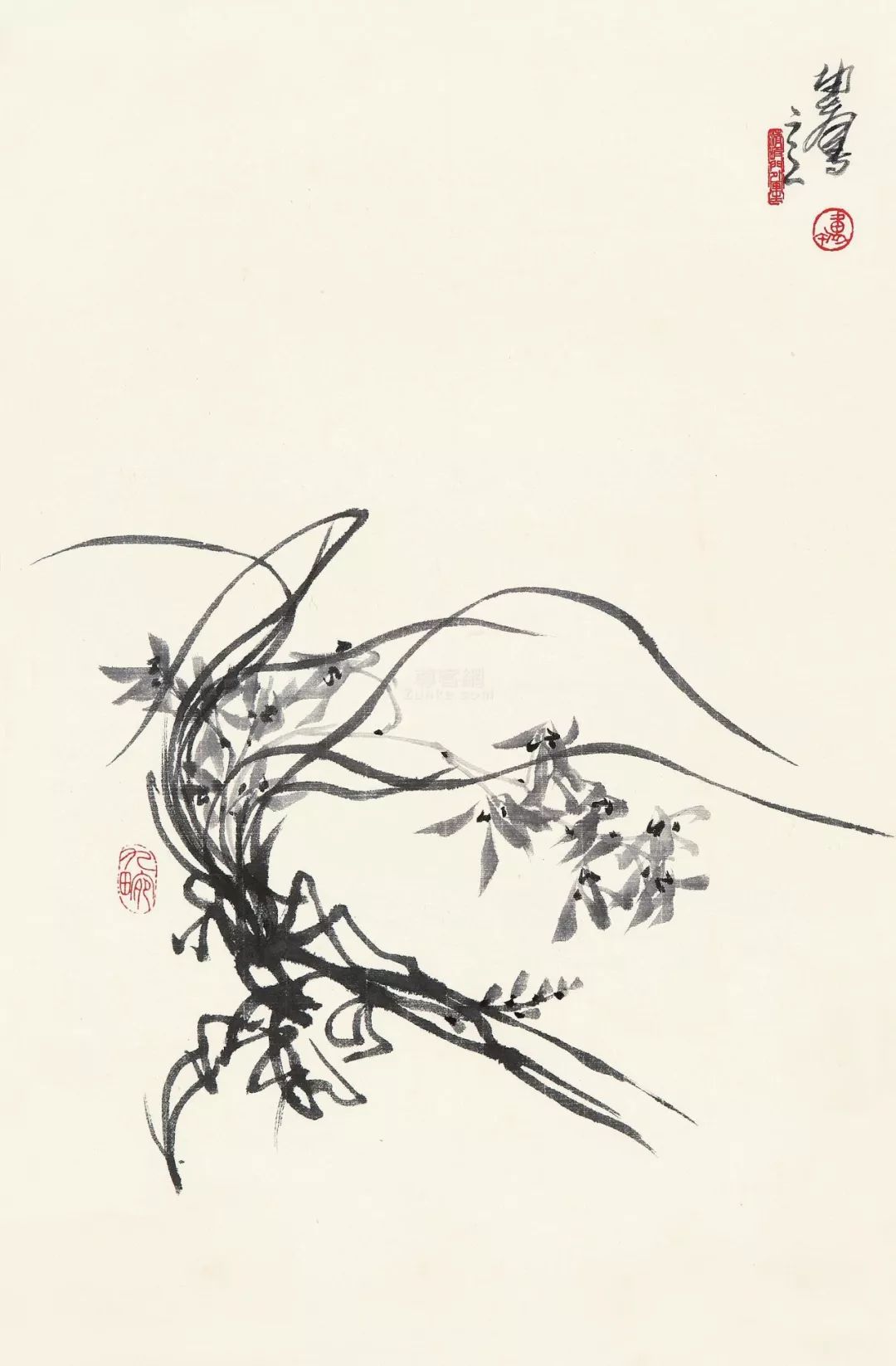 绘画技法如何画好兰花