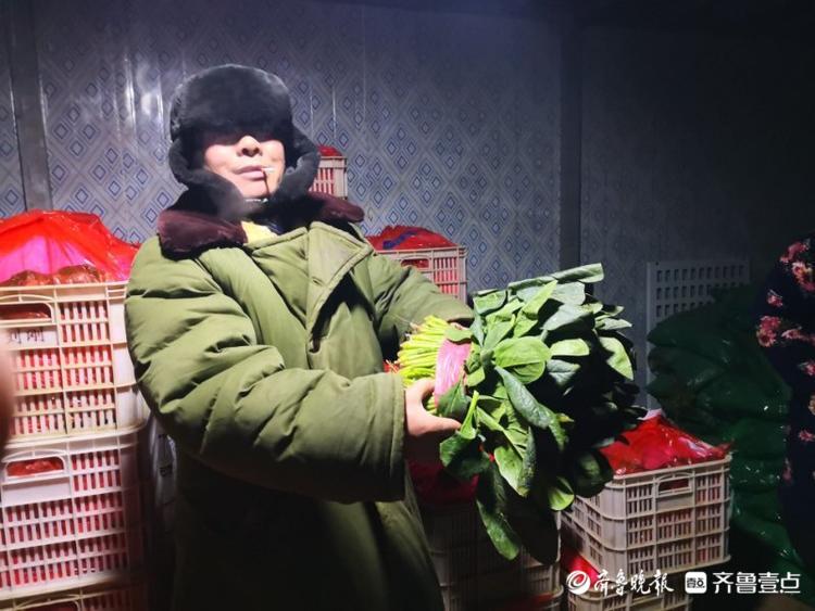 寒战|给蔬菜盖棉被，枣庄菜贩：菜比人娇贵更需要保暖