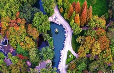 济南实现“看山、听泉、观湖、游河、品城”新体验