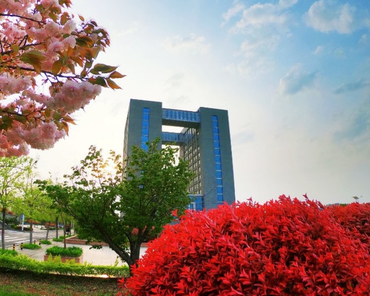 齐鲁晚报·齐鲁壹点专题报道
枣庄职业学院是山东省优质高等职业院校建设工程立项建设单位、国家高技能人才培训基地、全国职业院校校园文化建设‘一校一品’文化品牌示范基地，是一所全日制公办普通高等职业院校。