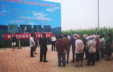 天敌治虫、熊蜂授粉 山东鲁保破解农业生产的“卡脖子”问题