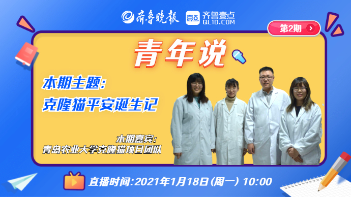 青年说 | 专访青农大克隆猫项目团队，揭秘“平安”猫咪诞生记