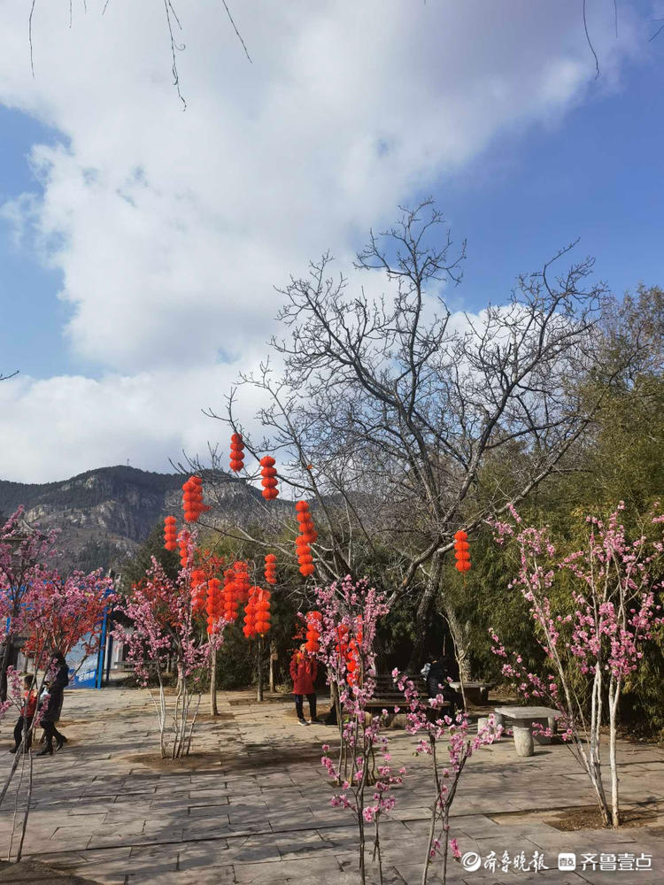 就地过年•春在身边|壹粉游九顶塔民族风情园，舞龙舞狮年味十足