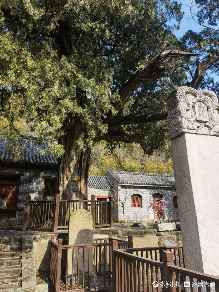 就地过年•春在身边|壹粉游九顶塔民族风情园，舞龙舞狮年味十足