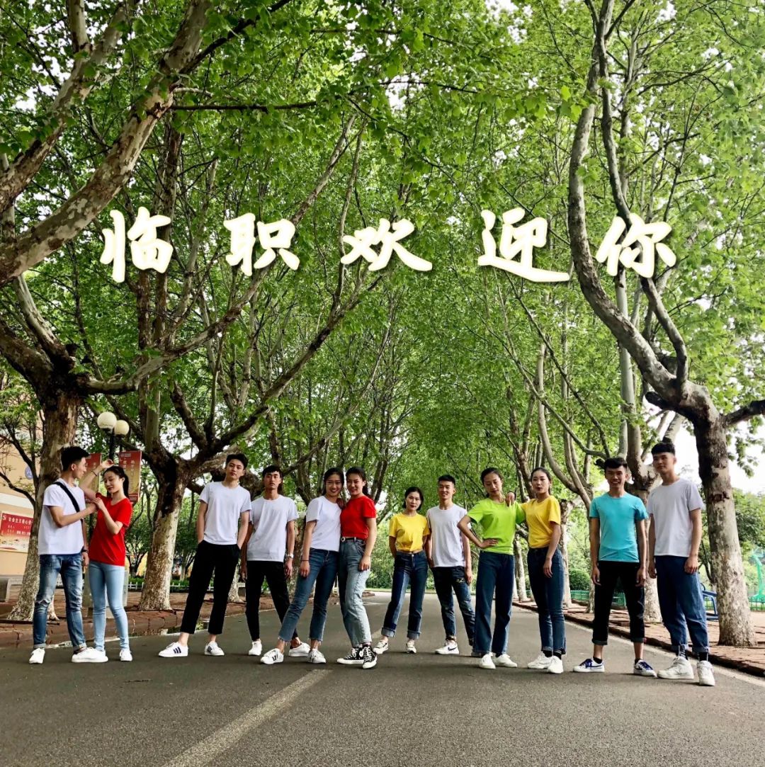 临沂职业学院2021年单独招生、综合评价招生计划表来啦