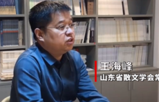 文学大咖谈|王海峰：写作安放心灵，阅读滋润才情