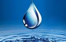 山东发布致全省节约用水倡议书