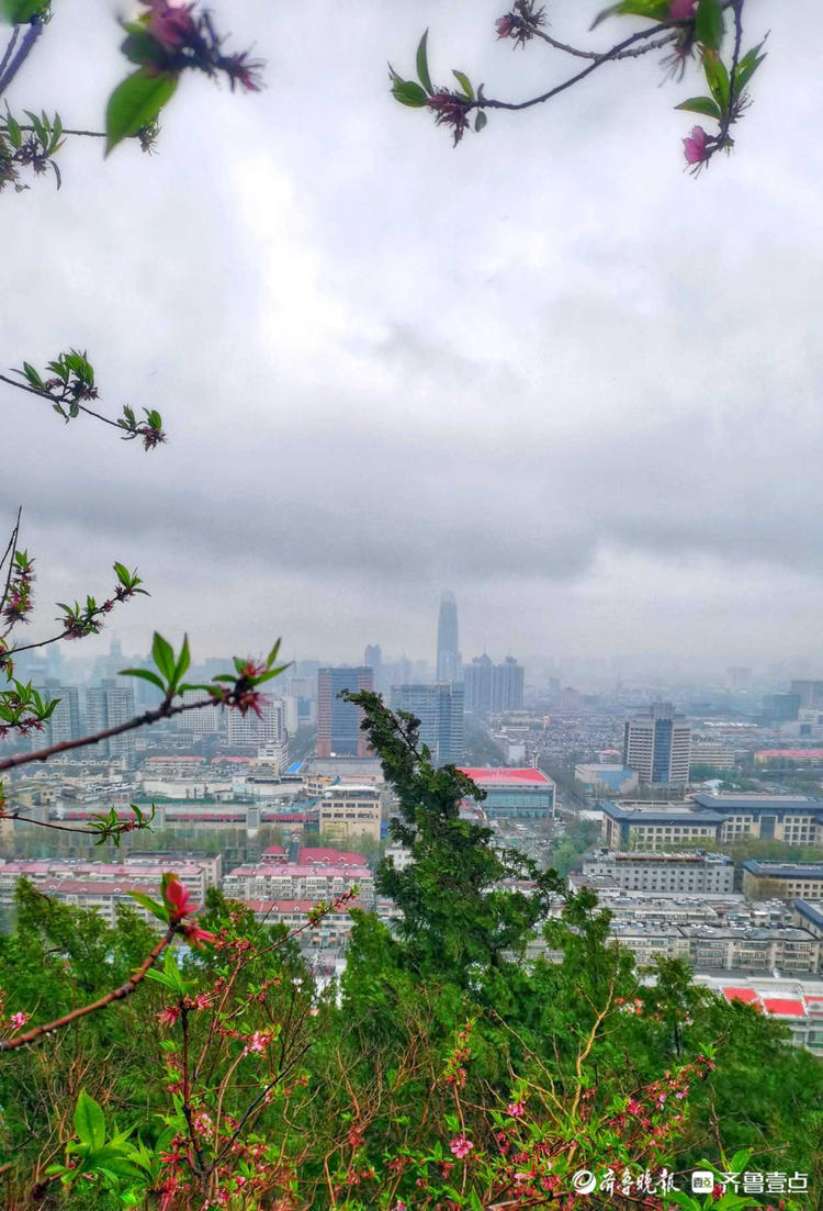 情報站春雨貴如油小雨淅淅漫步濟南英雄山景區別有一番韻味