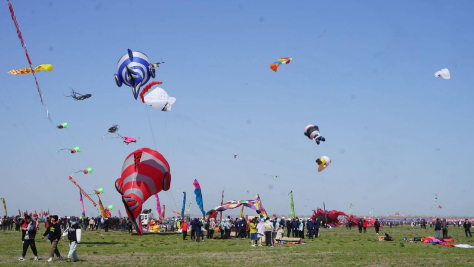 正是鸢飞好时节风筝放飞场上欢乐多