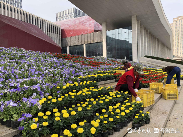 喜迎五一勞動節十萬多盆鮮花裝點菸臺文化中心廣場