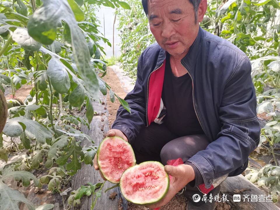 致富经种植_致富种植糖料蔗文案怎么写_致富种植专业合作社