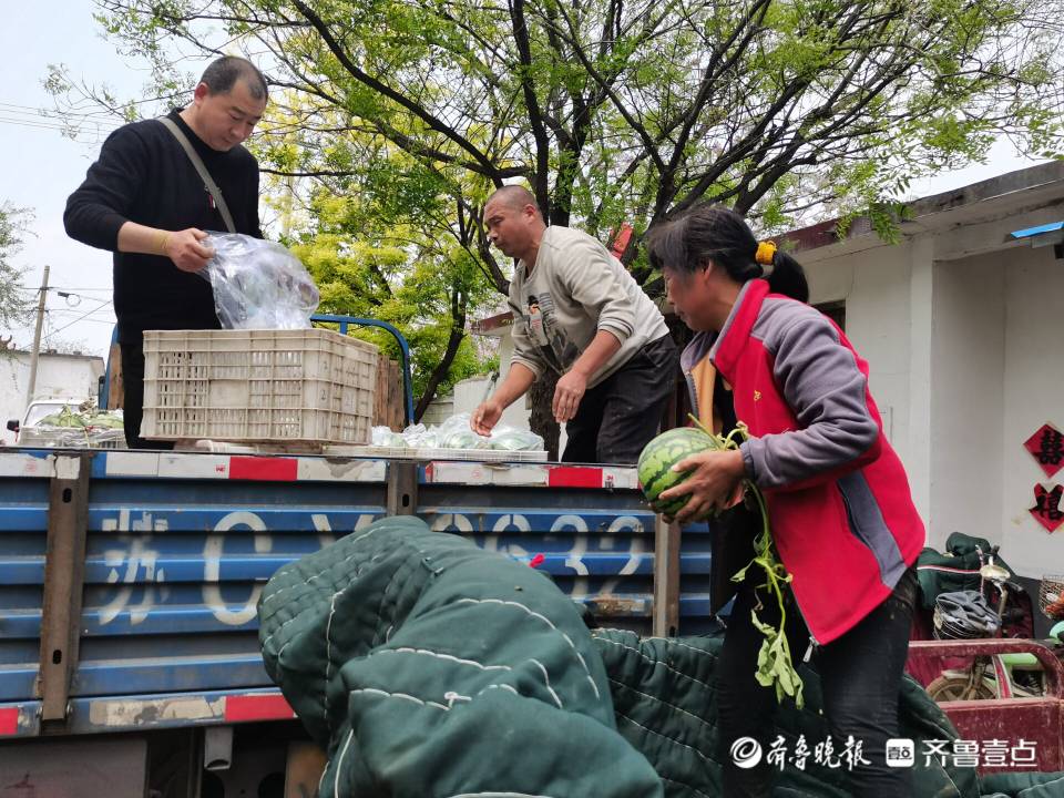 致富种植糖料蔗文案怎么写_致富种植专业合作社_致富经种植