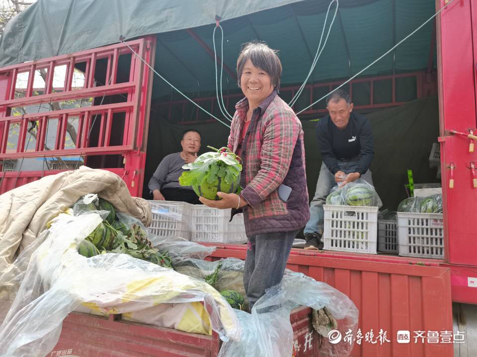 致富种植专业合作社_致富经种植_致富种植糖料蔗文案怎么写