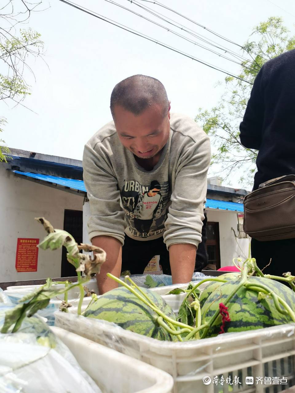 致富经种植_致富种植糖料蔗文案怎么写_致富种植专业合作社