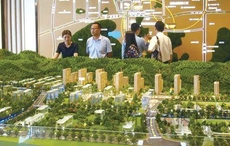 皇姐问房|济南购房改善增加，部分改善盘有主打优势价格略上涨