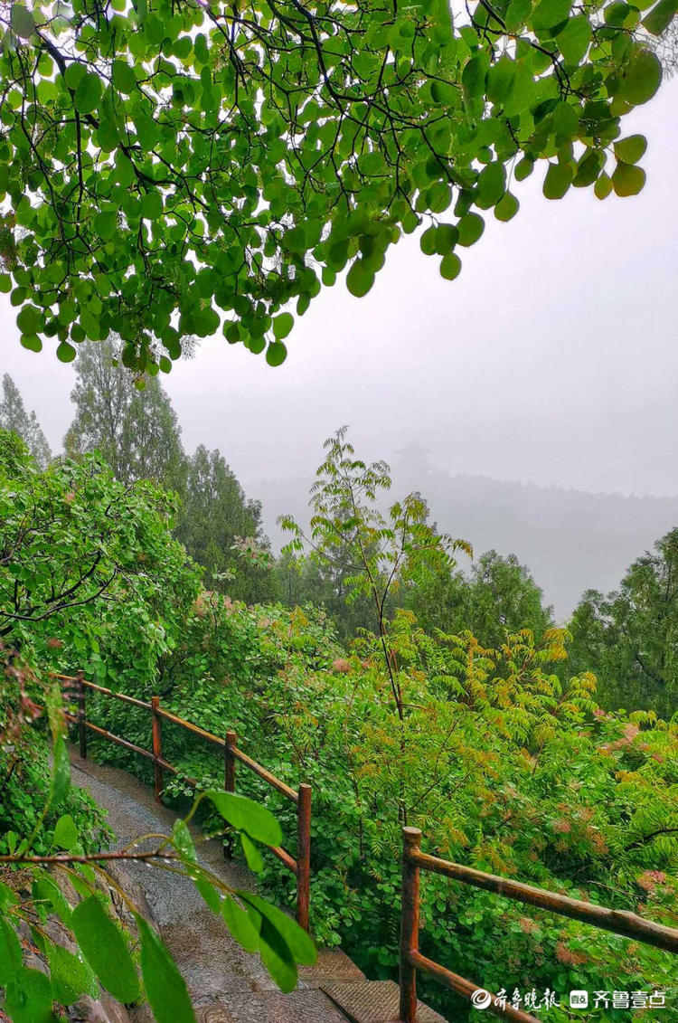 情報站雨中登山感受不一樣的景色濟南英雄山雨中風景更撩人