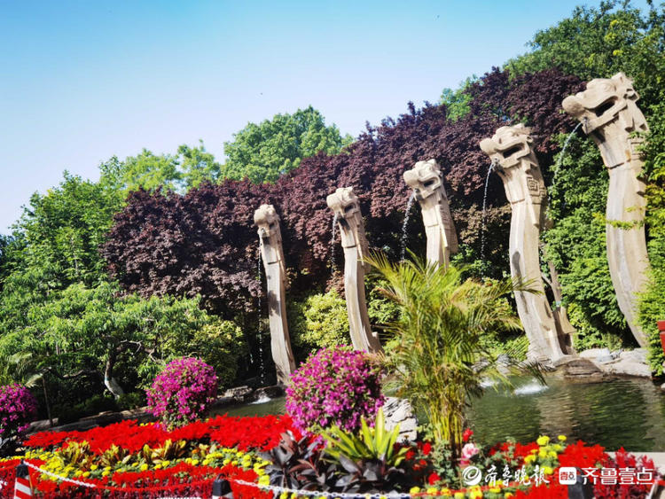花开齐鲁|确定不是童话世界吗？济南五龙潭花开遍地，美景醉游人