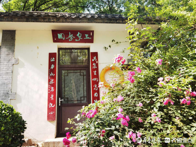 花开齐鲁|确定不是童话世界吗？济南五龙潭花开遍地，美景醉游人