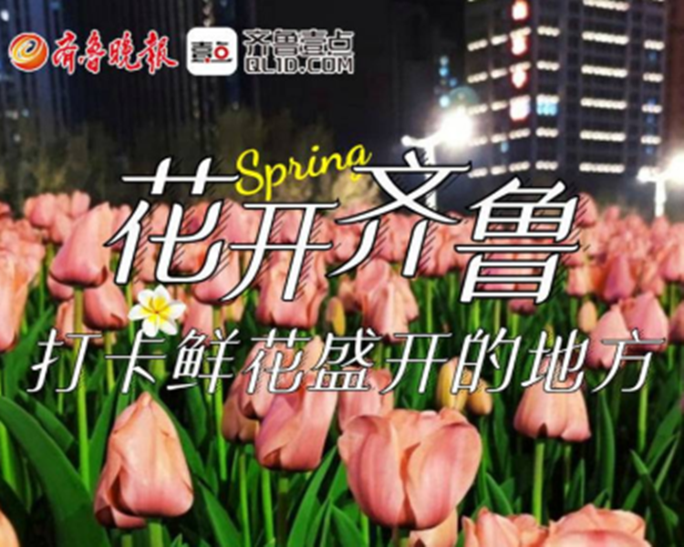 春天里的齐鲁大地，鲜花簇拥抬头便是景，赏花正当时。满屏的鲜花，调绘成一幅幅五彩斑斓的春天画卷，你是否也看得心花怒放？赏尽鸟语花香，才能不负春光。美好的春天，你会去哪里赏花呢？