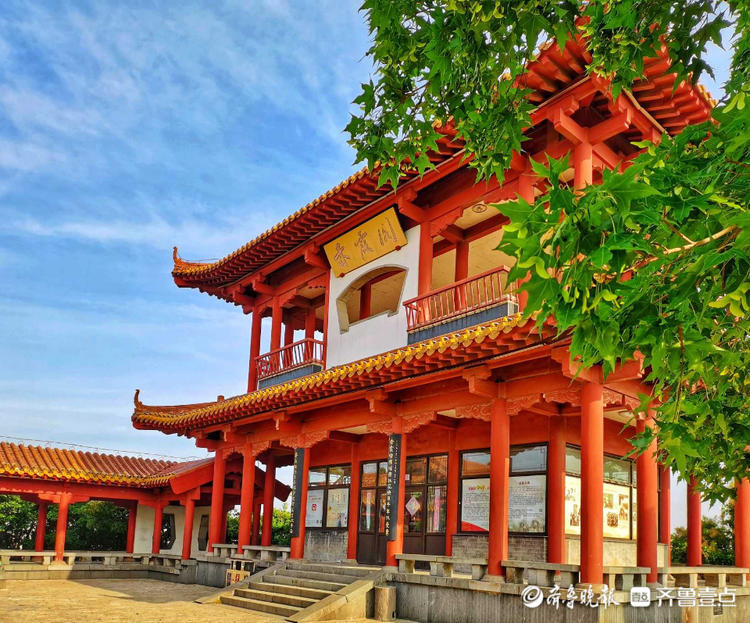 花开齐鲁|惊艳！初夏的济南英雄山色彩斑斓，如诗如画令人着迷