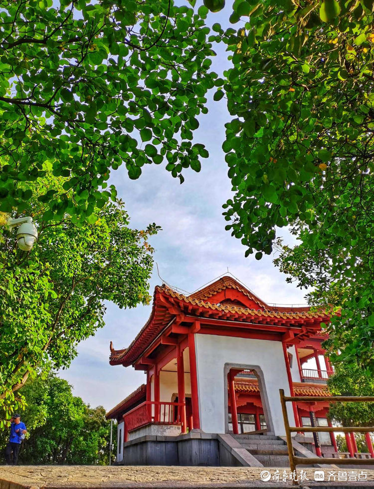 花开齐鲁|惊艳！初夏的济南英雄山色彩斑斓，如诗如画令人着迷