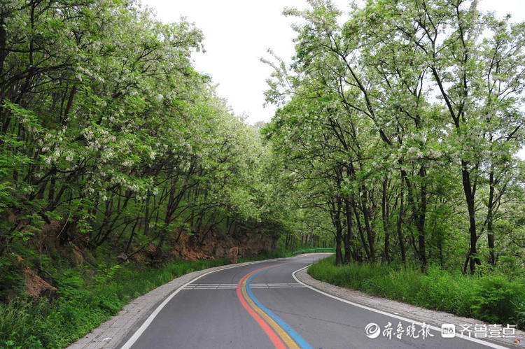 花开齐鲁|车在林间行，人在画中游！日照五莲彩虹山路美出了天际