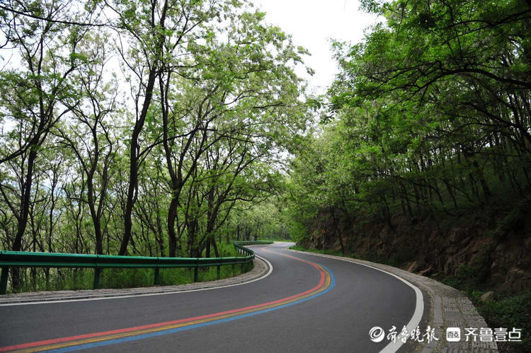花开齐鲁|车在林间行，人在画中游！日照五莲彩虹山路美出了天际