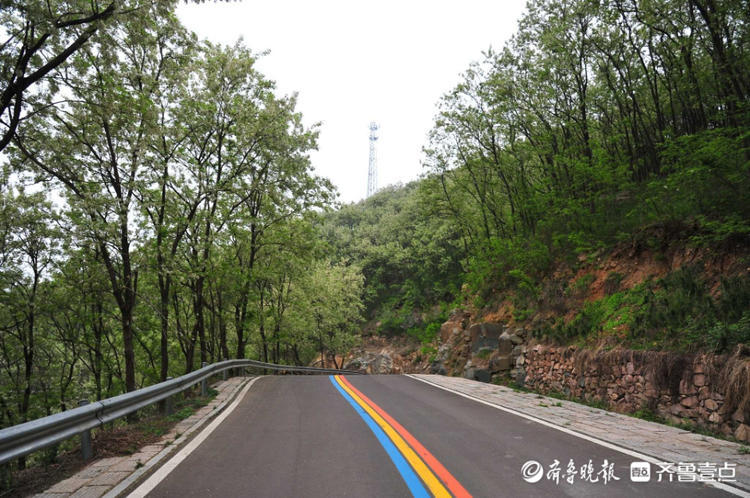 花开齐鲁|车在林间行，人在画中游！日照五莲彩虹山路美出了天际