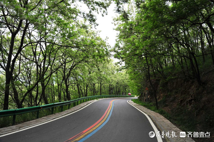 花开齐鲁|车在林间行，人在画中游！日照五莲彩虹山路美出了天际