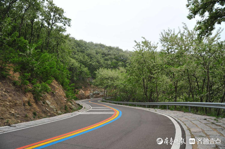花开齐鲁|车在林间行，人在画中游！日照五莲彩虹山路美出了天际
