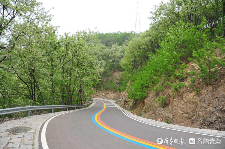 花开齐鲁|车在林间行，人在画中游！日照五莲彩虹山路美出了天际