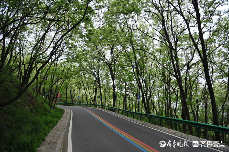 花开齐鲁|车在林间行，人在画中游！日照五莲彩虹山路美出了天际