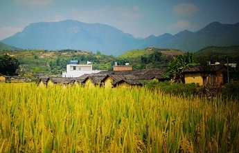 我的美好生活|家乡的梦