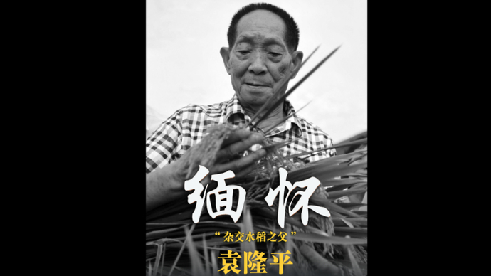 杂交水稻之父中国工程院院士共和国勋章获得者袁隆平5月22日13点07分