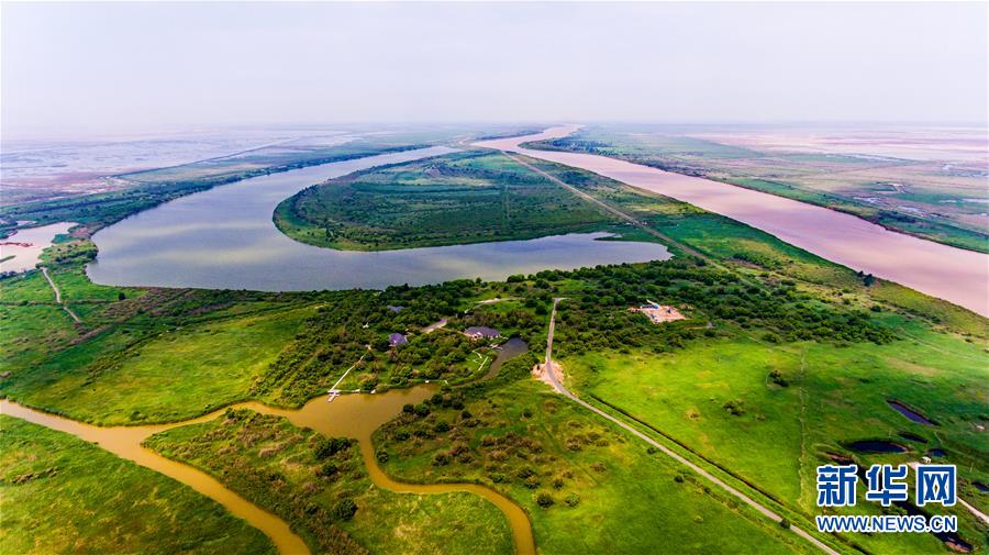 理上网来大河三角洲生态保护如何打造山东模式